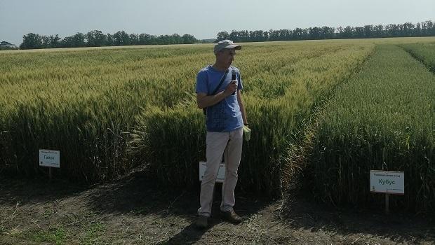 International Field Day 