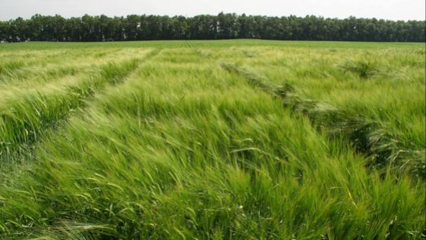 THE GENERAL MEETING OF THE PLANT PRODUCTION DEPARTMENT OF THE NATIONAL ACADEMY OF AGRARIAN SCIENCES OF UKRAINE