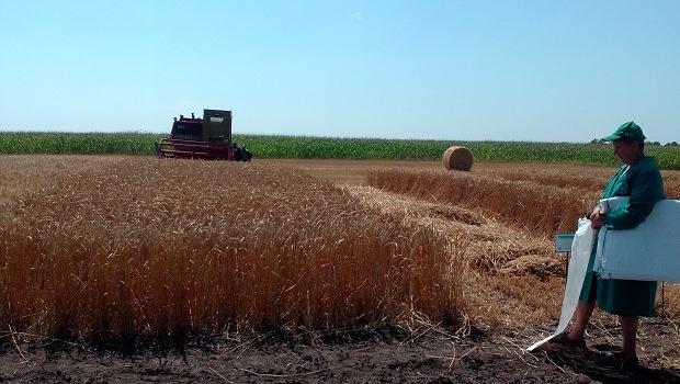 Field Day “Control Threshing of Spiked Cereals Harvested in 2021”