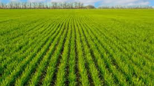 Scientific and organizational measures for spring field works on farms of the Kharkiv Oblast in 2021 (methodical recommendations)