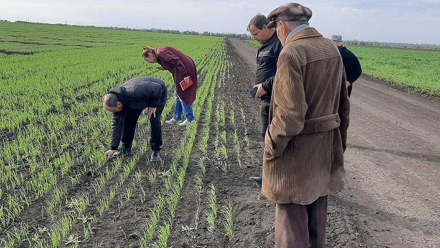 Виїзд методичної комісії на дослідні поля Інституту
