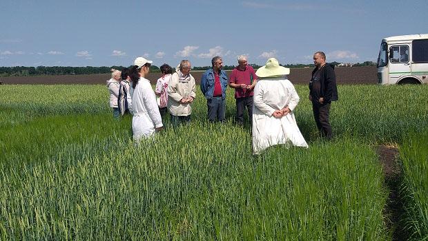 ВИЇЗНЕ ЗАСІДАННЯ МЕТОДИЧНОЇ КОМІСІЇ ІНСТИТУТУ РОСЛИННИЦТВА ІМ. В.Я. ЮР'ЄВА НААН З ПРИЙМАННЯ ПОЛЬОВИХ ДОСЛІДІВ