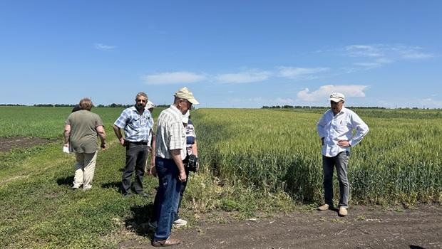ВИЇЗНЕ ЗАСІДАННЯ МЕТОДИЧНОЇ КОМІСІЇ ІНСТИТУТУ РОСЛИННИЦТВА ІМ. В.Я. ЮР'ЄВА НААН З ПРИЙМАННЯ ПОЛЬОВИХ ДОСЛІДІВ