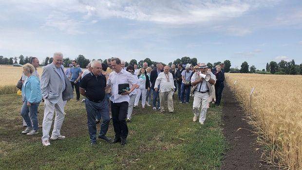 День поля 2022 «Інноваційний вітчизняний сортовий ресурс зернових колосових культур»